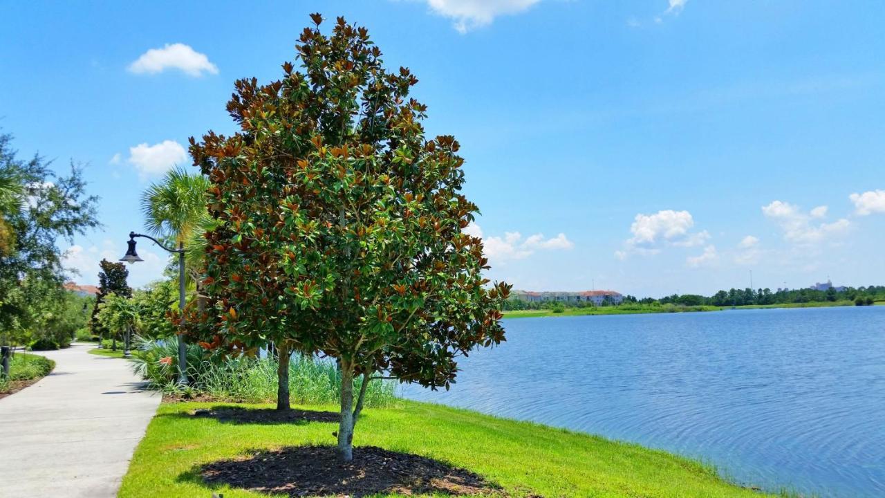 Stunning Top-Floor Condo, Next To Clubhouse Orlando Esterno foto